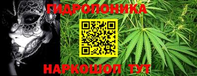 эйфоретик Тара