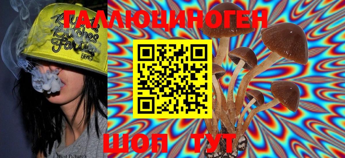 Галлюциногенные грибы MAGIC MUSHROOMS  Галлюциногенные грибы Psilocybine cubensis  Вход с VPN  Менделеевск 